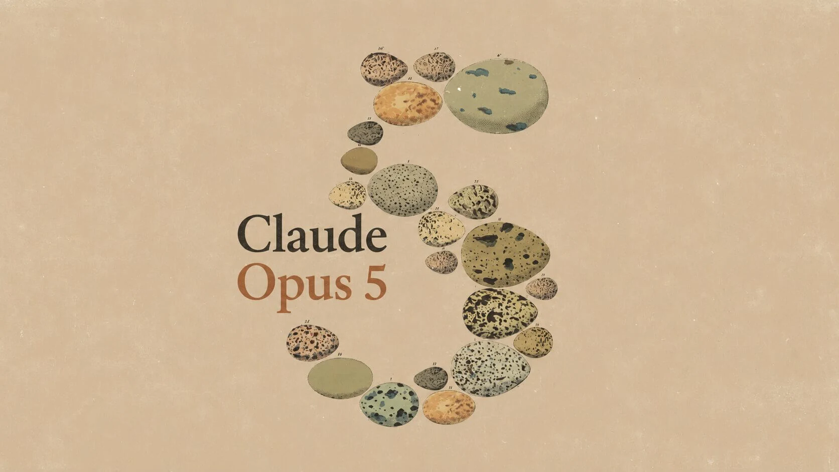 Opus 5