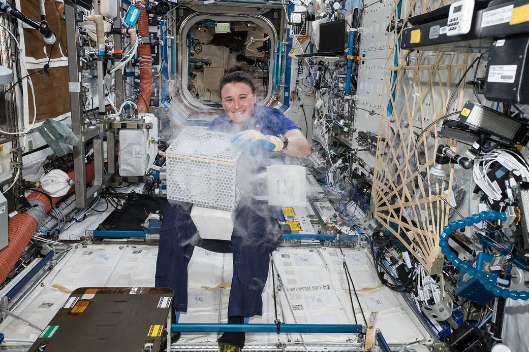 Sample image from NASA