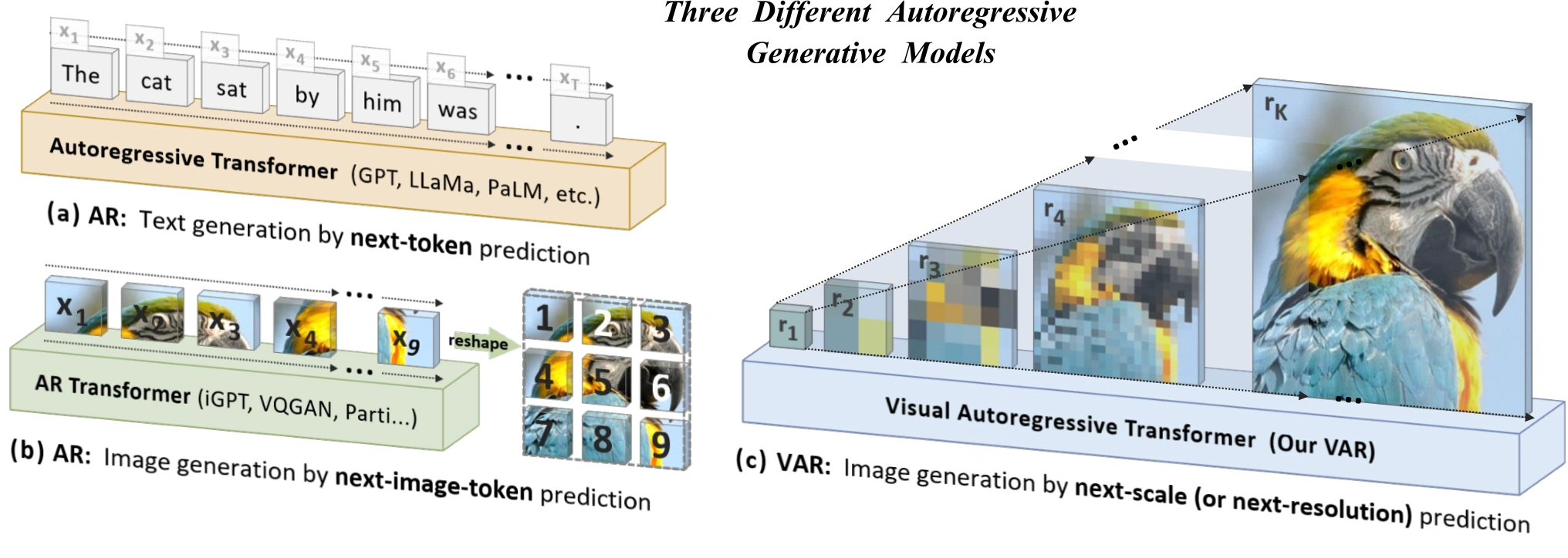 Published VAR comparison of autoregressive text tokens, raster-ordered visual tokens and next-scale image generation.