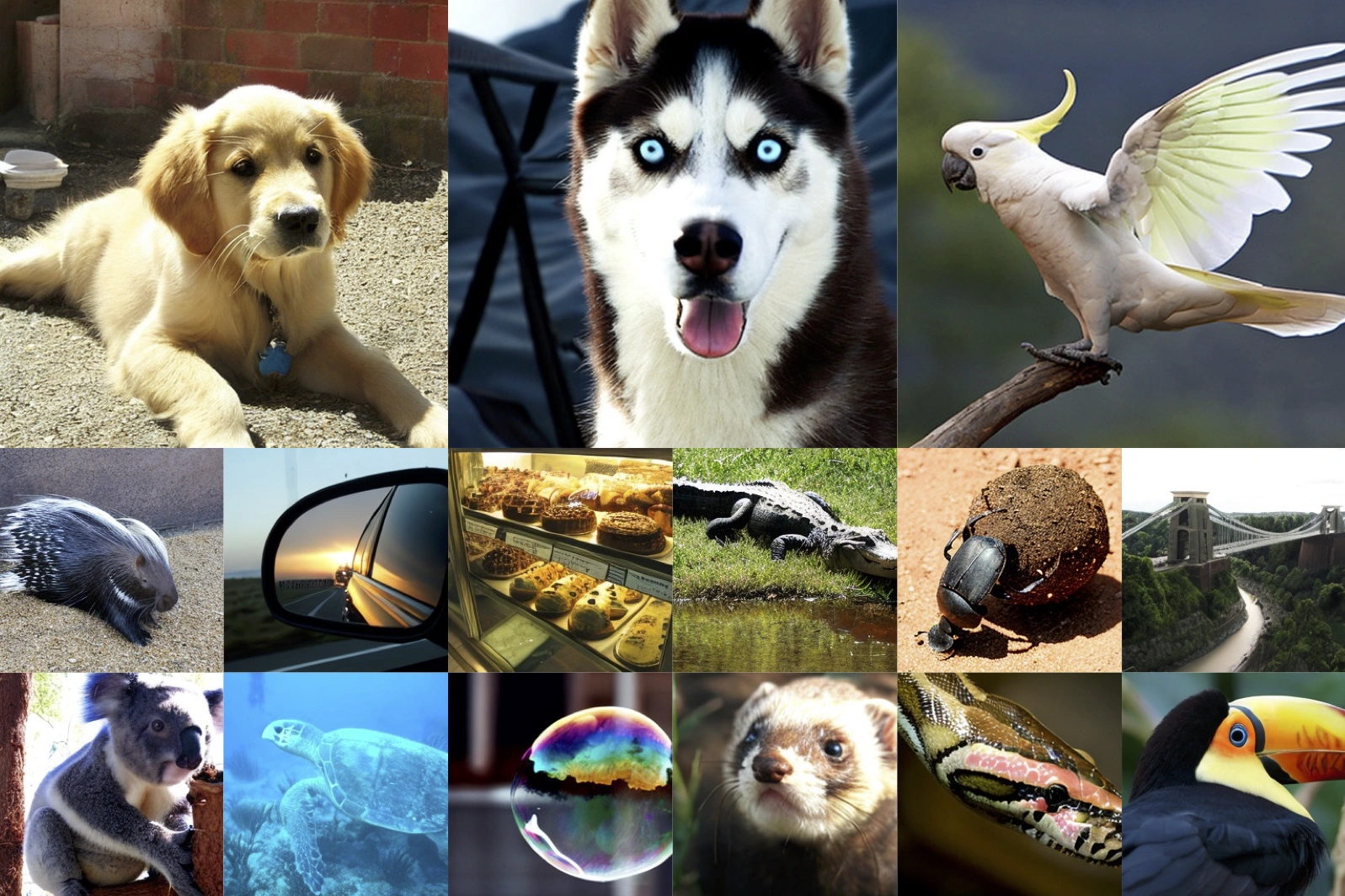 Published DiT image samples demonstrating image generation using a Transformer-based diffusion model.